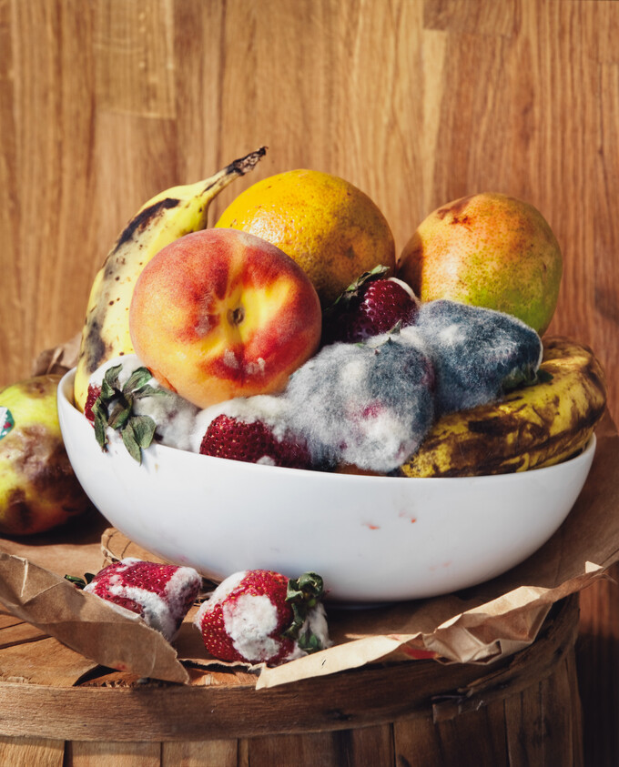 A bowl of assorted fruit, including strawberries and bananas, covered with white and gray mold.