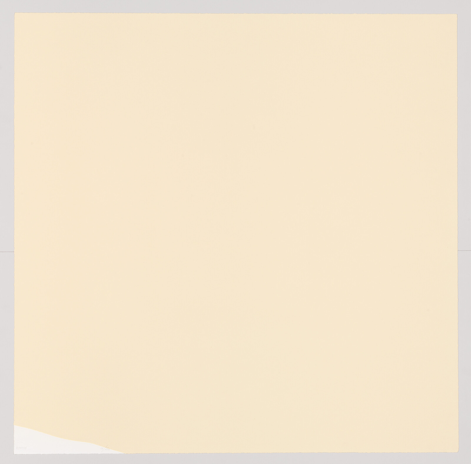 Large pale beige square sheet of paper with a slightly torn bottom-left corner and thin gray border.