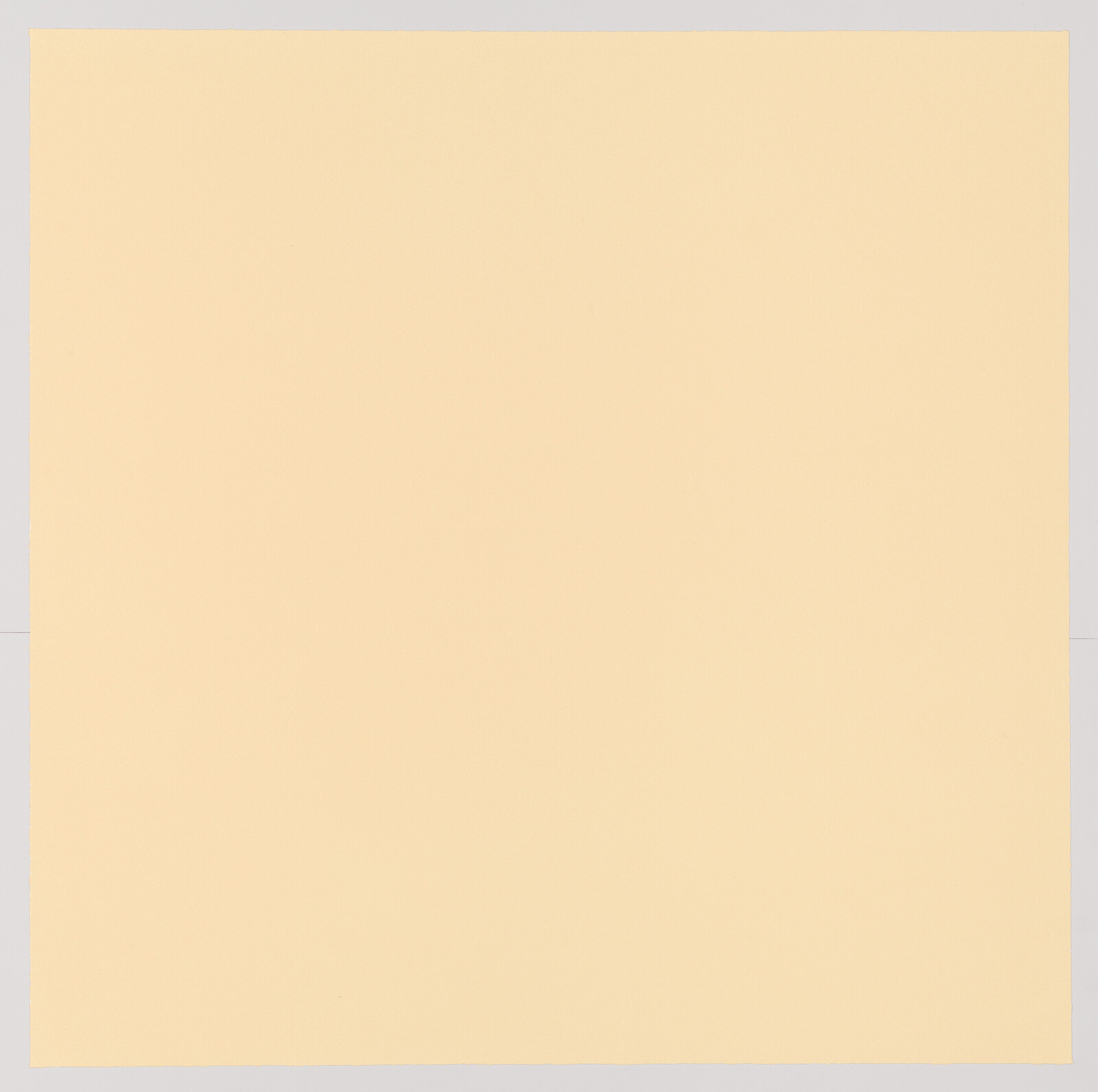 A large square sheet of light beige paper centered on a pale gray background.