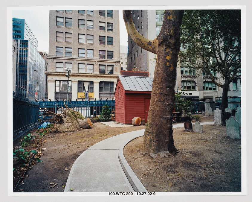 Small red shed beside a curved concrete path under a large tree in an urban courtyard.