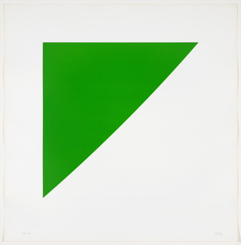 A large green right triangle fills the top-left of a white square canvas.
