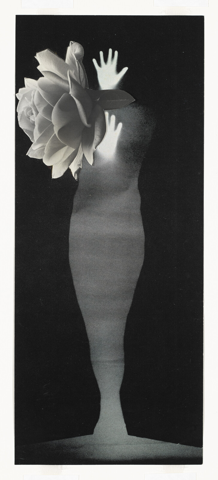 Black and white photogram with a rose and two hand silhouettes on a vase-like shape.