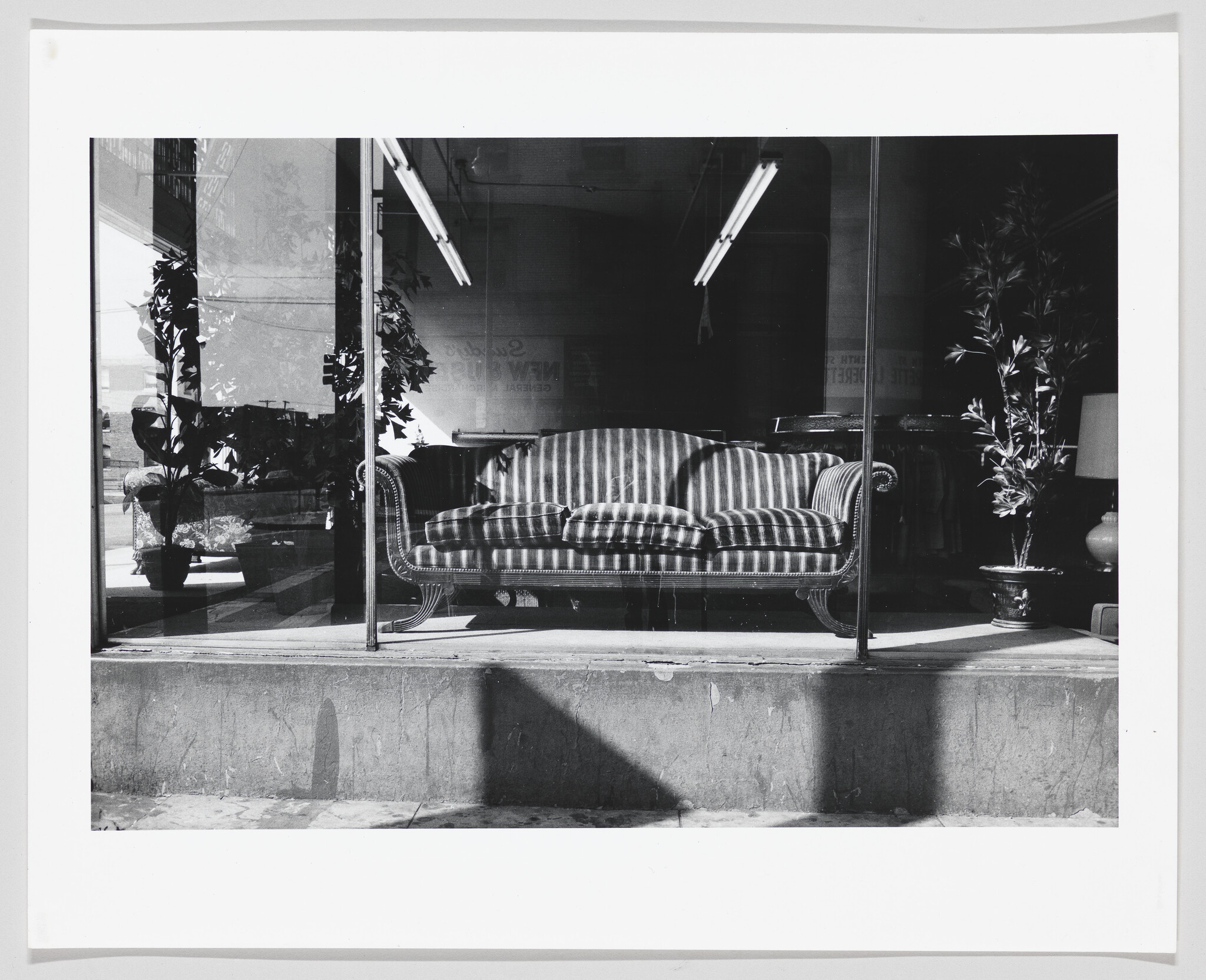 A striped upholstered sofa sits behind a large storefront window with potted plants beside it.