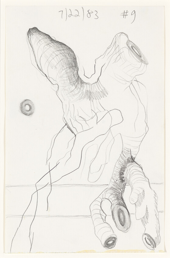 Twisted gnarled tree branch with hollow knots drawn in pencil against a blank background.