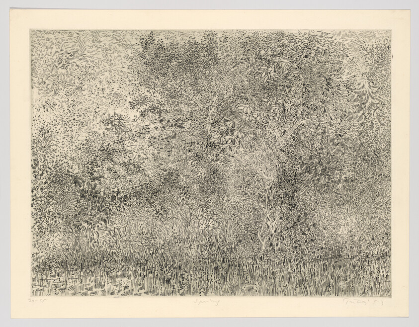 Dense cluster of trees and tall grass with detailed, fine-lined foliage filling the scene.