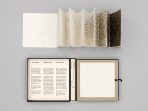 Open artist's box set with an accordion-style booklet above and a book titled '13 Variations' below.