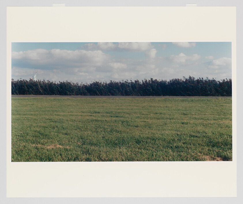 A wide green field stretches toward a dark treeline under a blue sky with scattered clouds.