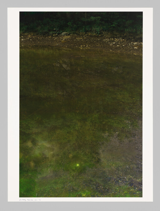 Shallow river with muddy shoreline and green algae reflecting a small bright light.
