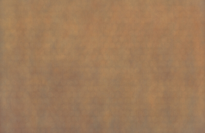 A close-up of a mottled brown textured surface resembling aged paper or painted plaster.
