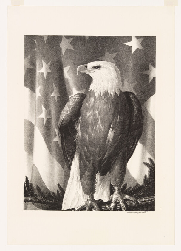 A bald eagle perches on a branch with a large American flag behind it.