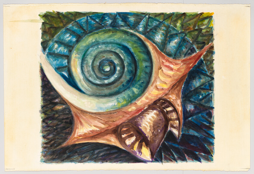 A colorful spiral seashell with pointed spines rests on a textured blue and green background.