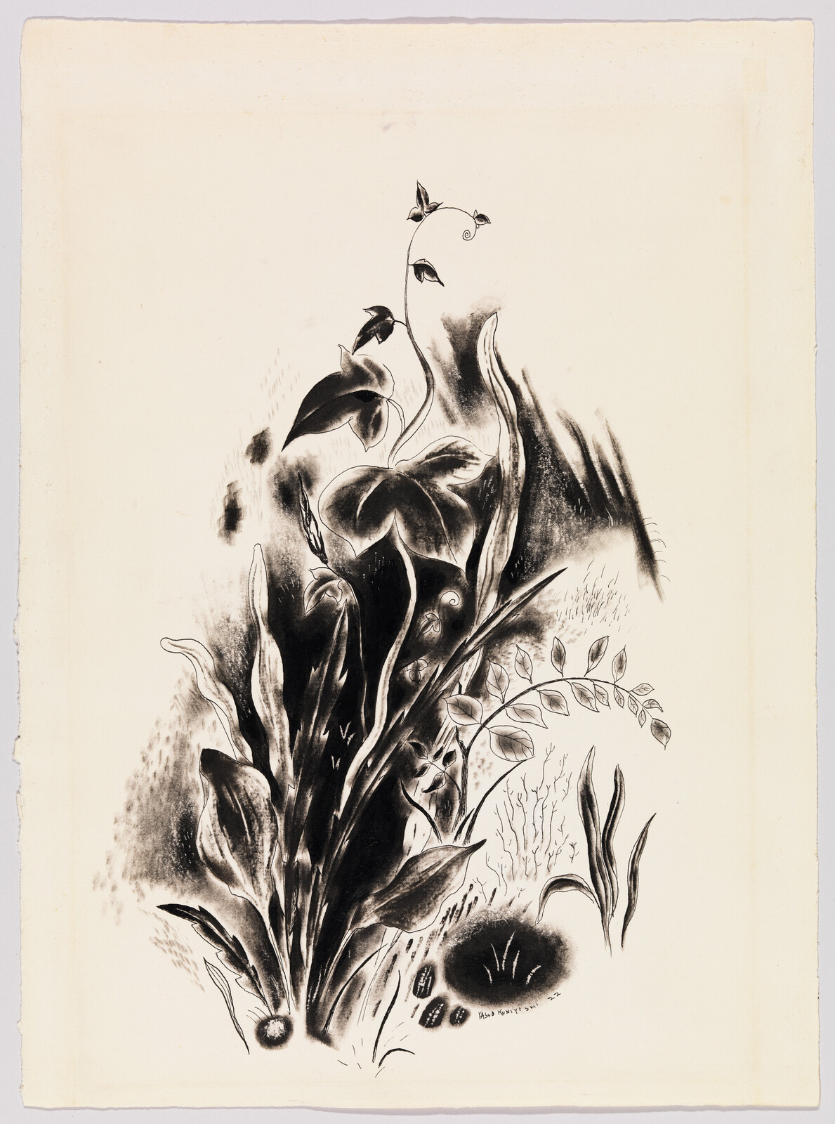 Tall dark ink drawing of layered leaves, vines, and small buds rising from the ground.