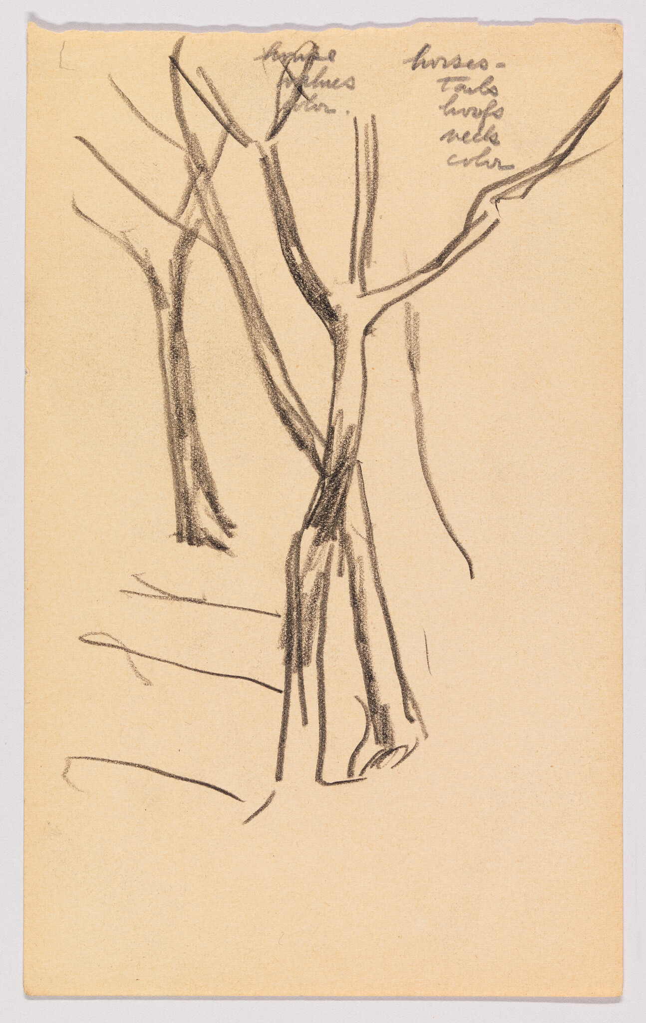 A simple charcoal sketch shows several tree trunks and branches with small handwritten notes.