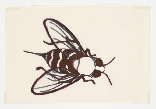 A stylized brown and white fly illustration with translucent wings on a cream background.