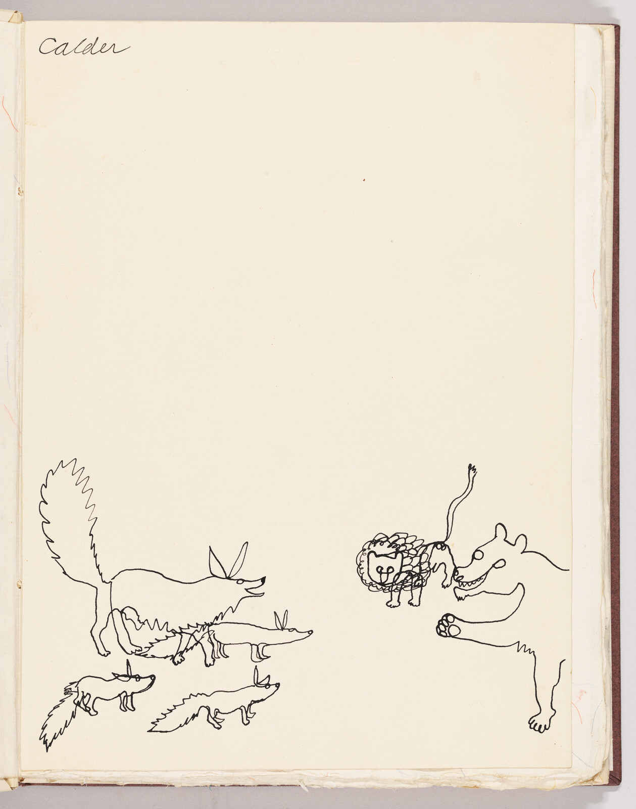 A line drawing of several foxes confronting a lion and a bear, signed "Calder."