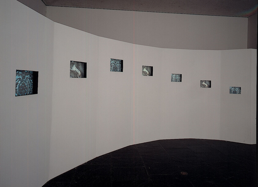 Curved white wall with seven small rectangular openings showing blue patterns and animal photographs.