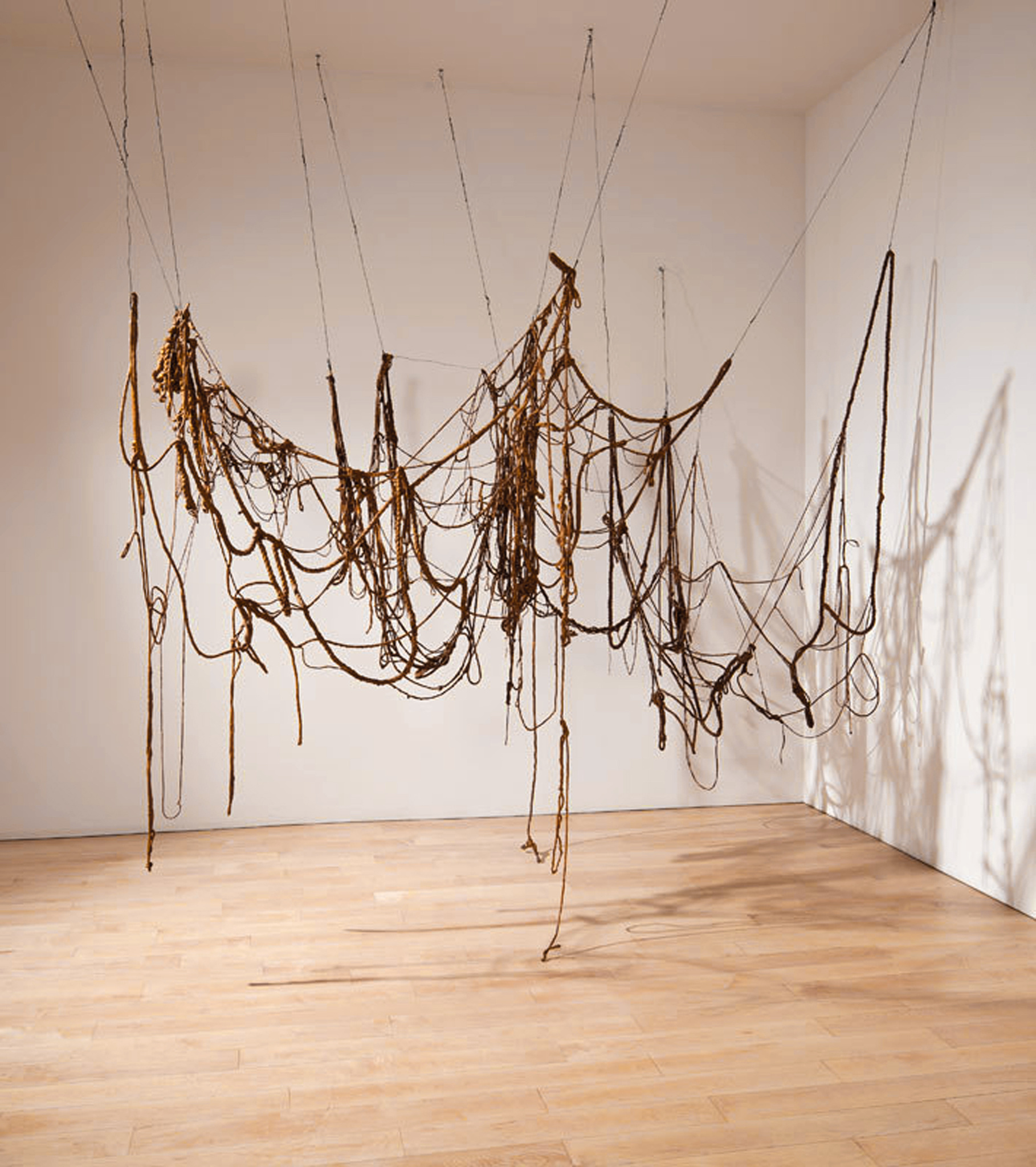 A modern art installation featuring an array of tangled brown ropes suspended from the ceiling, casting intricate shadows on the walls of a room with light wooden flooring.