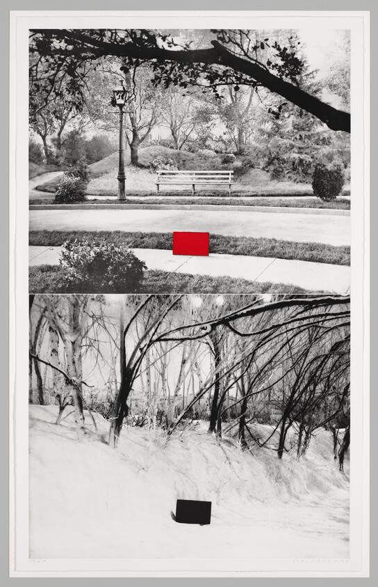 A red rectangle sits on a sidewalk in a park above a black rectangle in snowy woods.