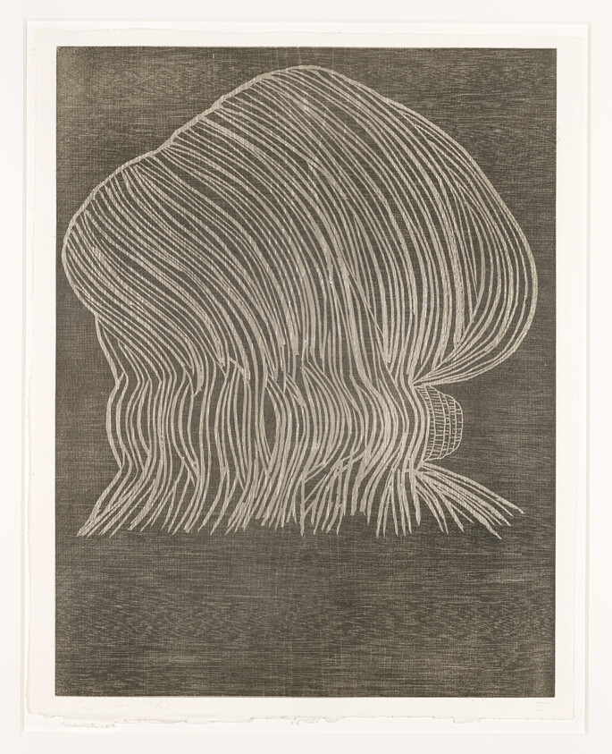 An abstract artwork featuring a series of white curvilinear lines creating a flowing, hair-like form against a textured dark background, all contained within a white border.