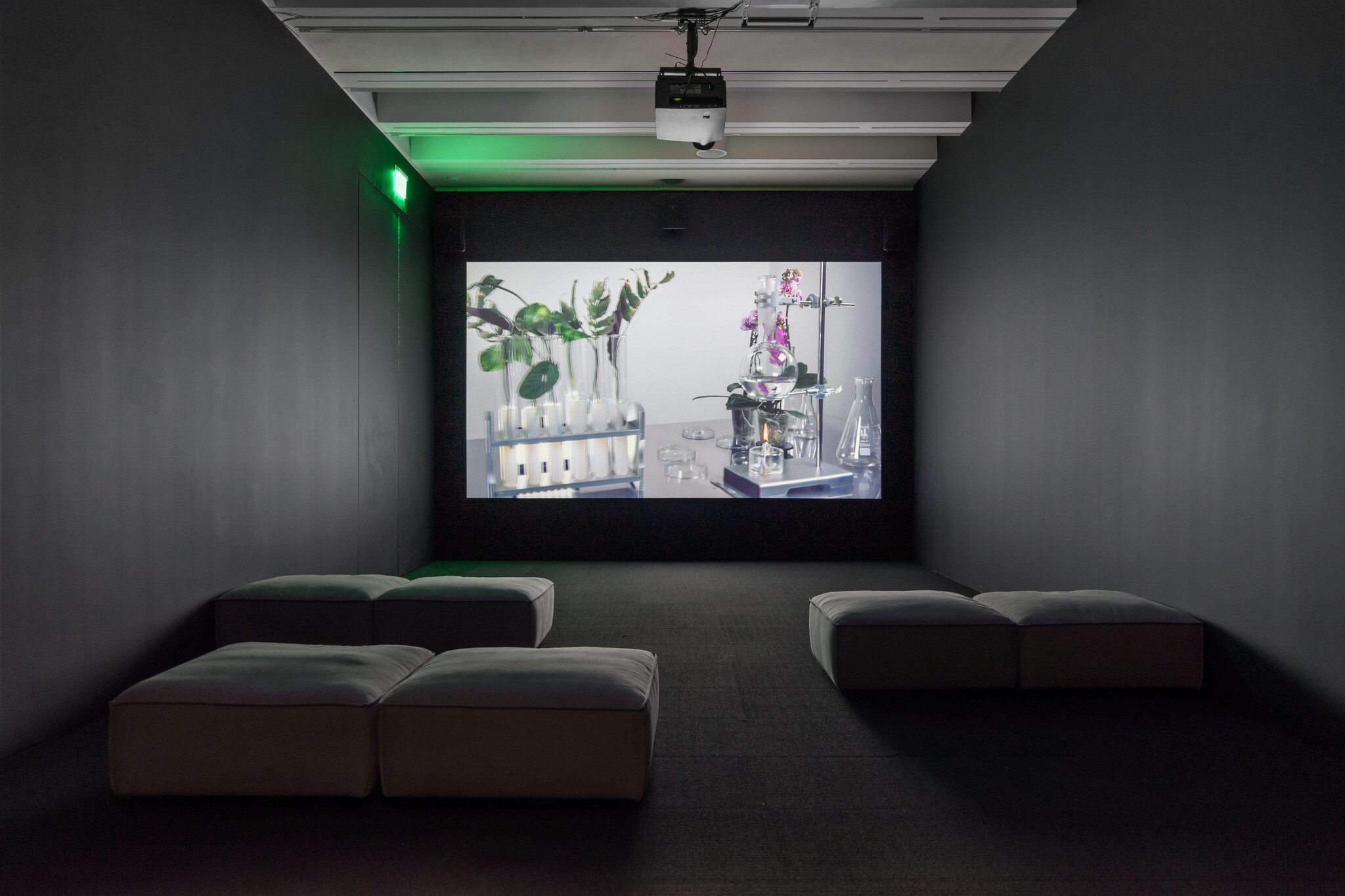 Exhibition history for work as a whole:Fridericianum, Kassel, Germany, Jungle Stripe, May 29 - September 4, 2016Julia Stoschek Foundation, Berlin, Germany, Jaguars and Electric Eels, February 5 - November 26, 2017 Screenings: International Film Festival Rotterdam, Rotterdam, Holland, January 25 - February 5, 2017Copenhagen International Documentary Festival, Copenhagen, Denmark, March 16 - March 26, 2017