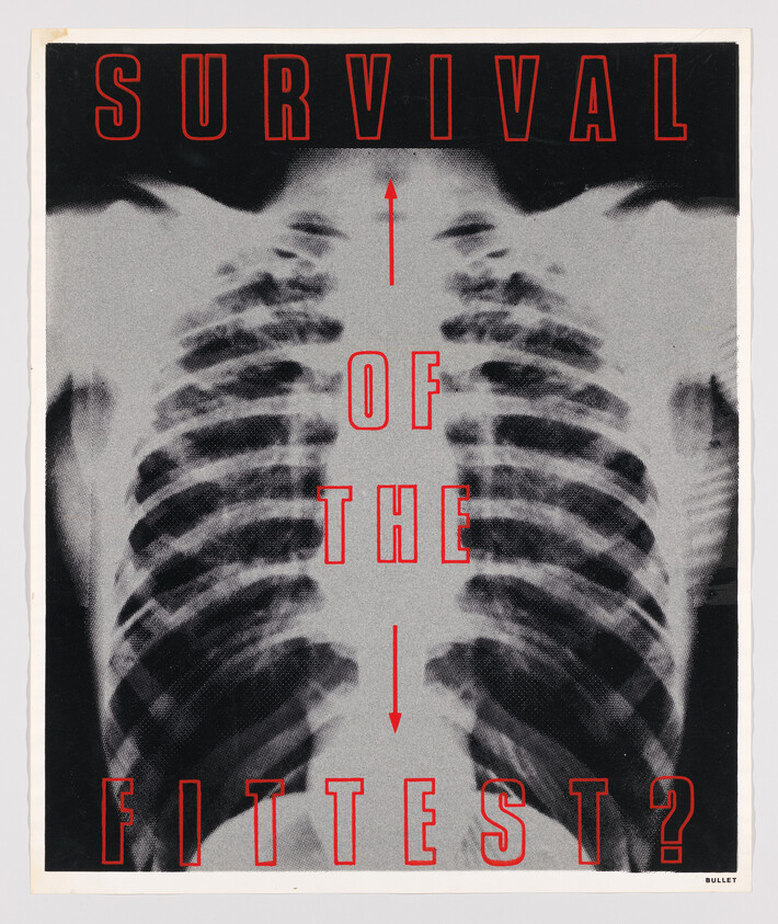 A graphic poster with the phrase "SURVIVAL OF THE FITTEST?" in bold red letters, superimposed on a mirrored image of a human chest X-ray. The words are arranged vertically with a red arrow pointing upwards between "SURVIVAL" and "OF THE," and another arrow pointing downwards between "OF THE" and "FITTEST?". The background is grainy, and the poster has a rough, textured appearance.