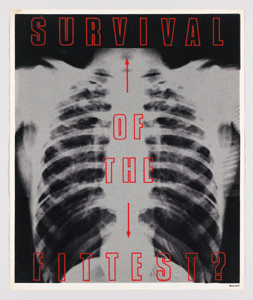 A chest x-ray with bold red text reading "Survival of the fittest?" over the ribs.