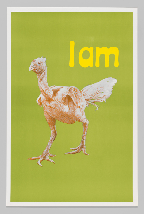 A graphic poster featuring a stylized, featherless bird with a long neck and legs, resembling a chicken or turkey, set against a lime green background with the word "Iam" in bold yellow letters above the bird.