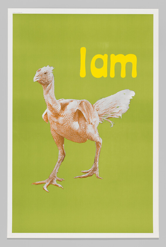 A plucked turkey stands on a green background with the yellow text "Iam" above it.