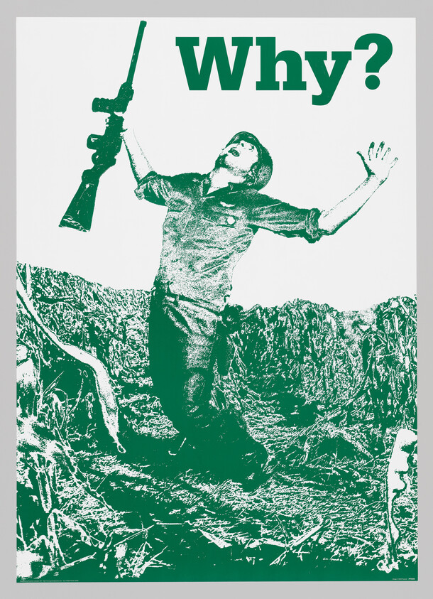A stylized graphic poster depicting a person in a distressed pose with one arm outstretched and the other holding a rifle upwards. The background appears to be a rough, textured landscape, and the word "Why?" is prominently displayed at the top in large, bold letters. The image has a limited color palette, primarily in green and white tones.