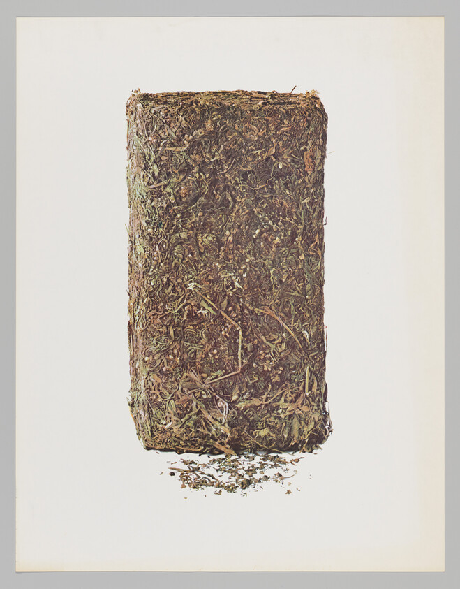 Rectangular compressed block of dried herbs and leaves with small loose flakes underneath.