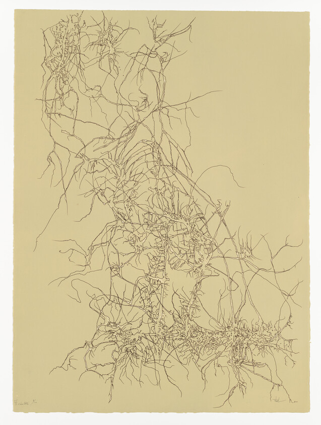 Delicate tangled root-like lines form an abstract vertical pattern on a beige background.