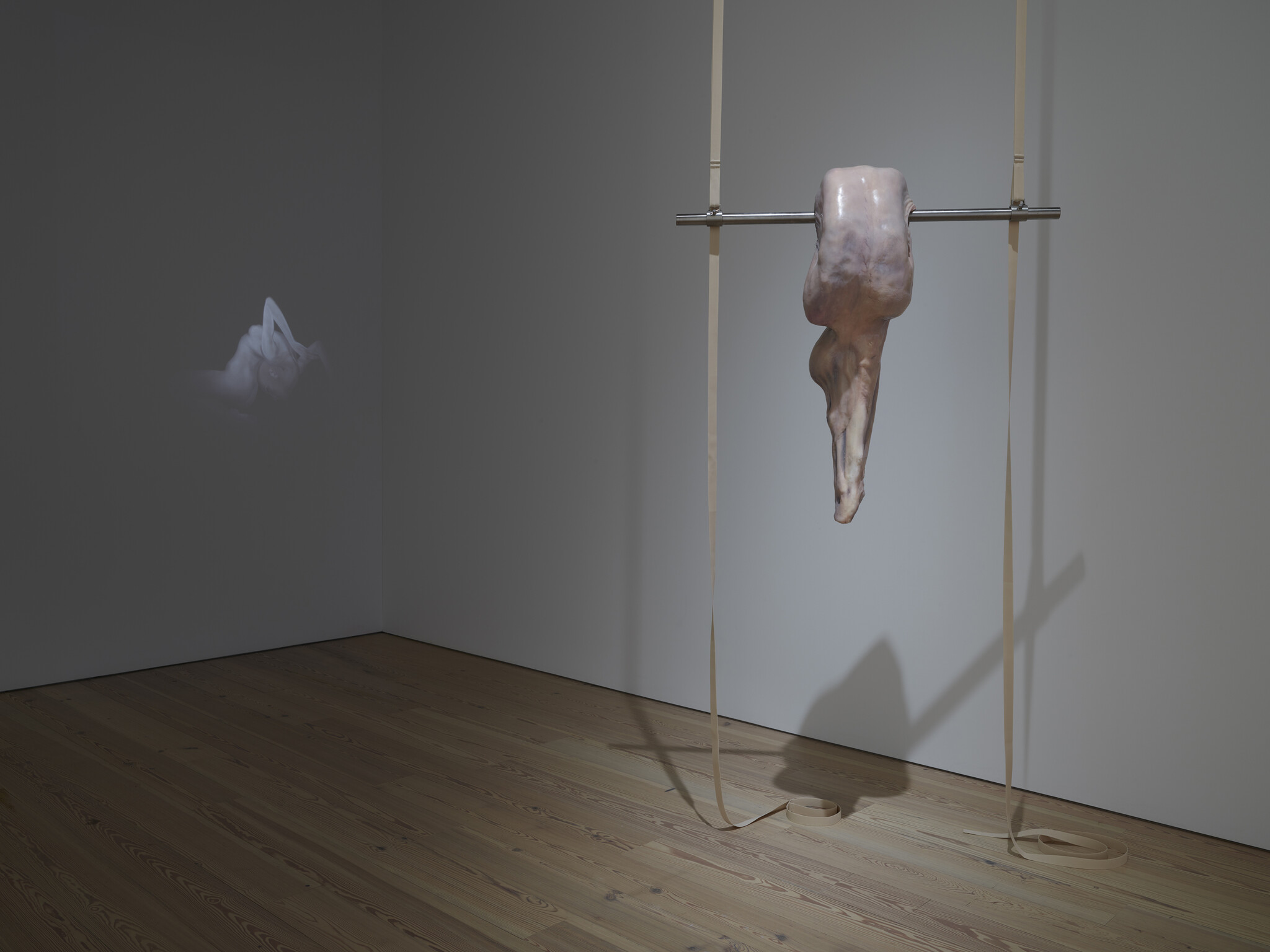 A pale, abstract fleshy sculpture hangs from a metal bar with long straps and a projected figure.