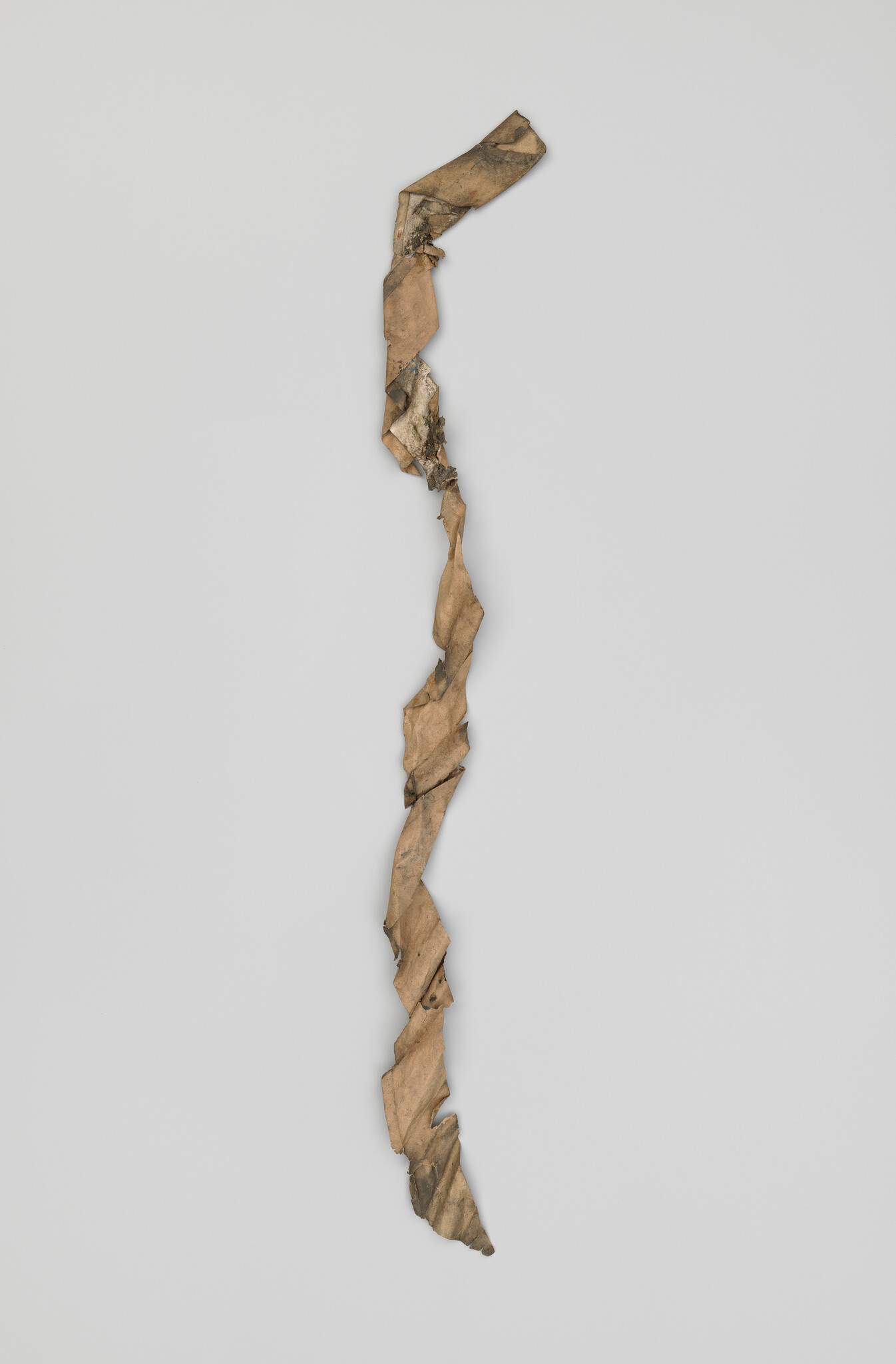 A long twisted strip of aged brown paper hangs vertically against a plain light background.