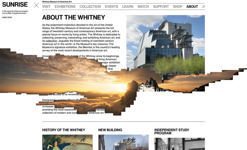 Whitney Museum of American Art website page with text about the museum, building photo, and a digital sunrise art overlay.