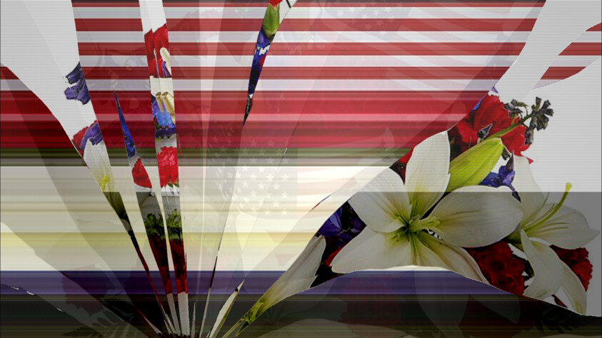 Abstract image with fragmented floral patterns and American flag elements, featuring lilies and red, white, and blue colors.