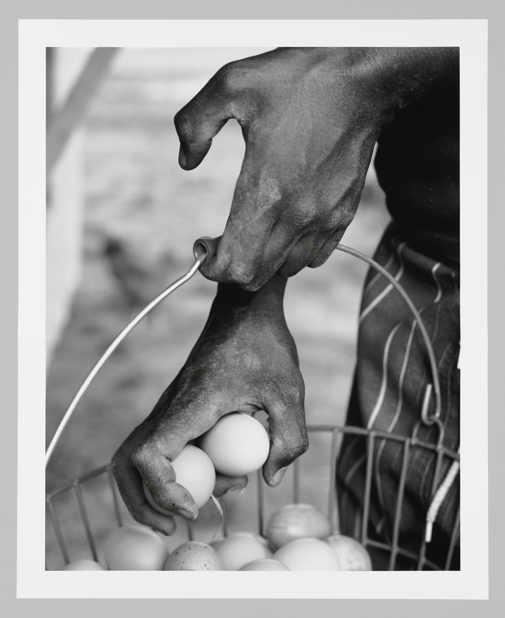 Black and white photograph of a hand carrying a pail of eggs and a second hand grasping two eggs