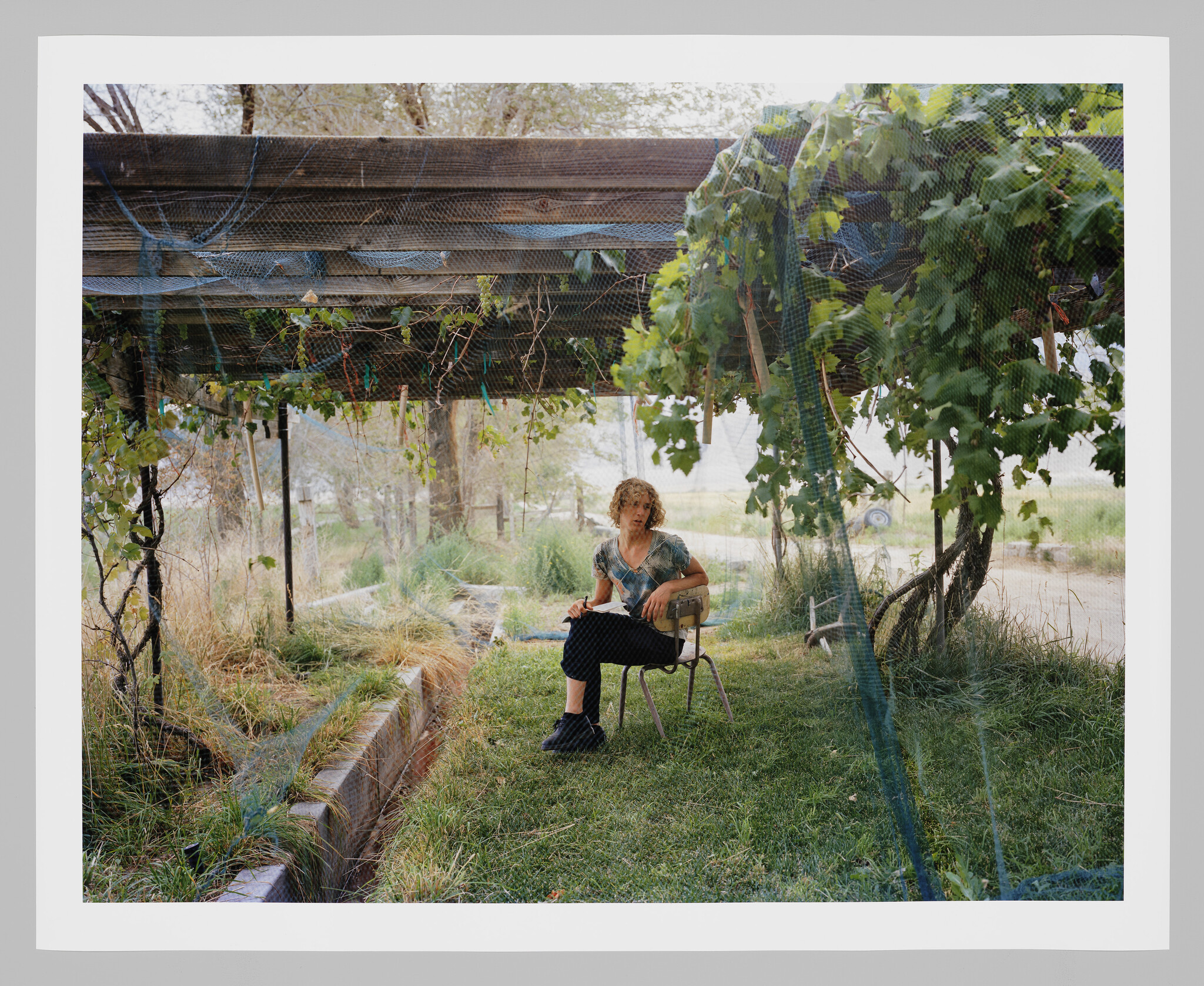A person sits on a chair under a vine-covered pergola in a grassy yard.