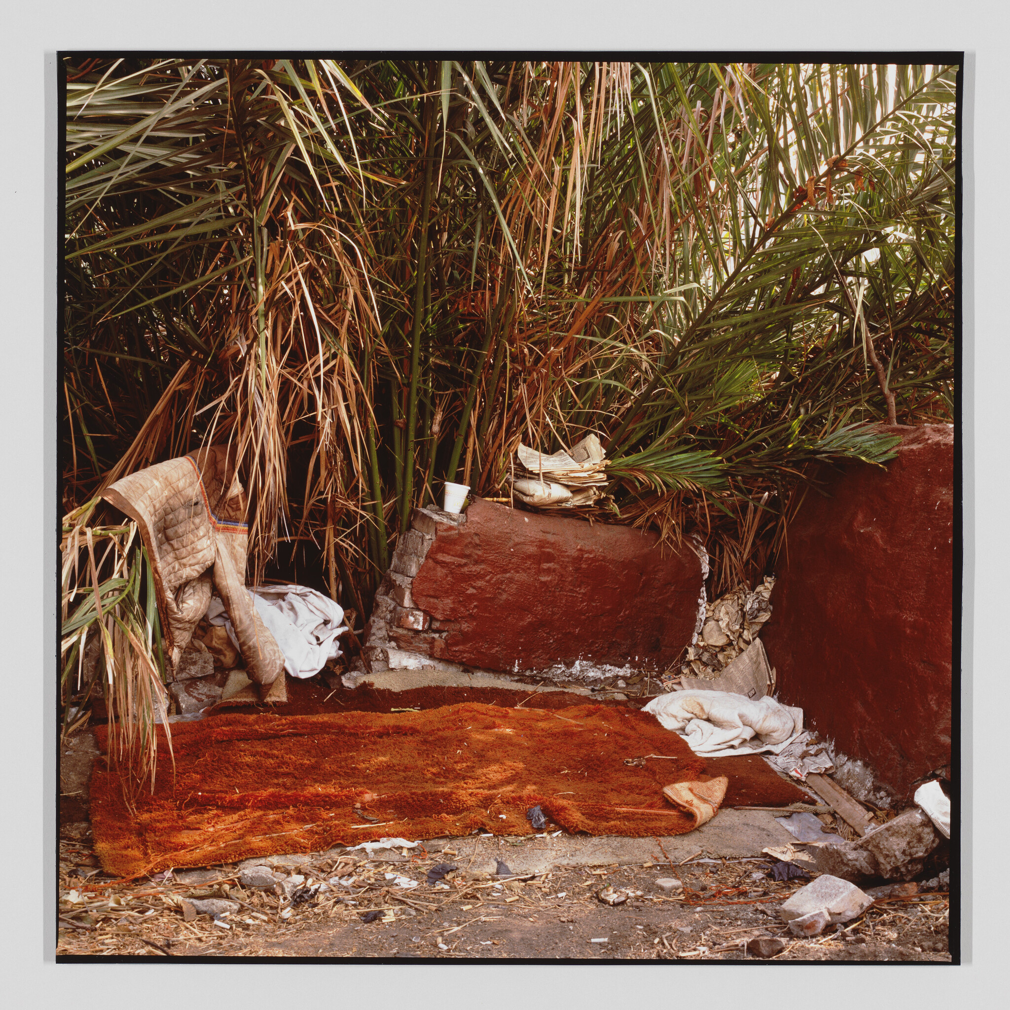 A worn orange rug and blankets form a makeshift sleeping area beneath dense palm fronds.