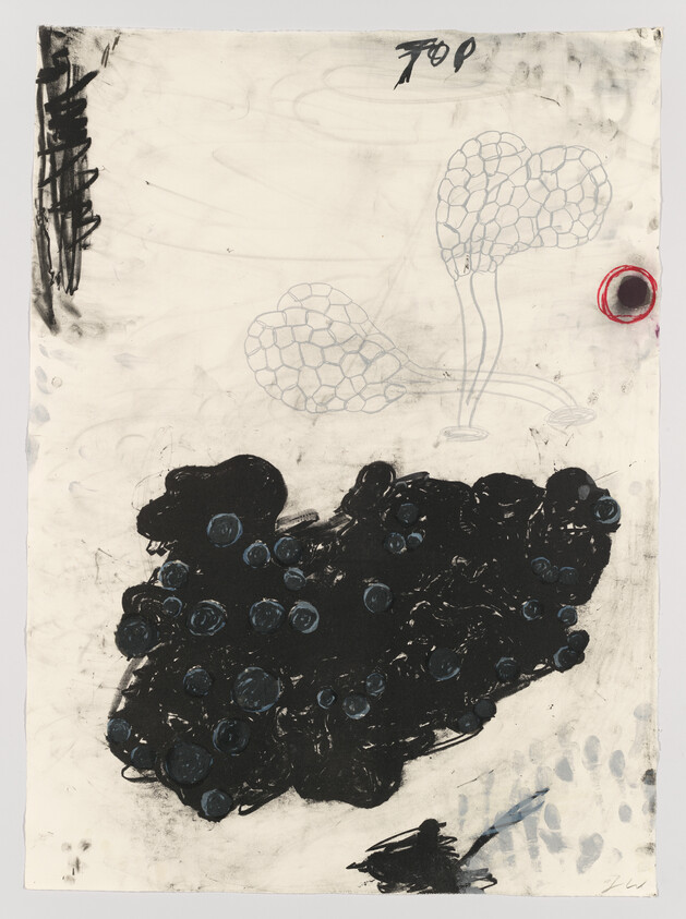 An abstract artwork on paper featuring a large, textured black shape at the bottom with blue circular patterns, two faintly drawn, interconnected hexagonal structures resembling molecular diagrams at the center, and various smudges and marks. The word "TOP" is written upside down in the upper left corner, and there's a red circular stain with a black center near the top right edge. The background is white with gray smears and brushstrokes, and there's a signature at the bottom right.