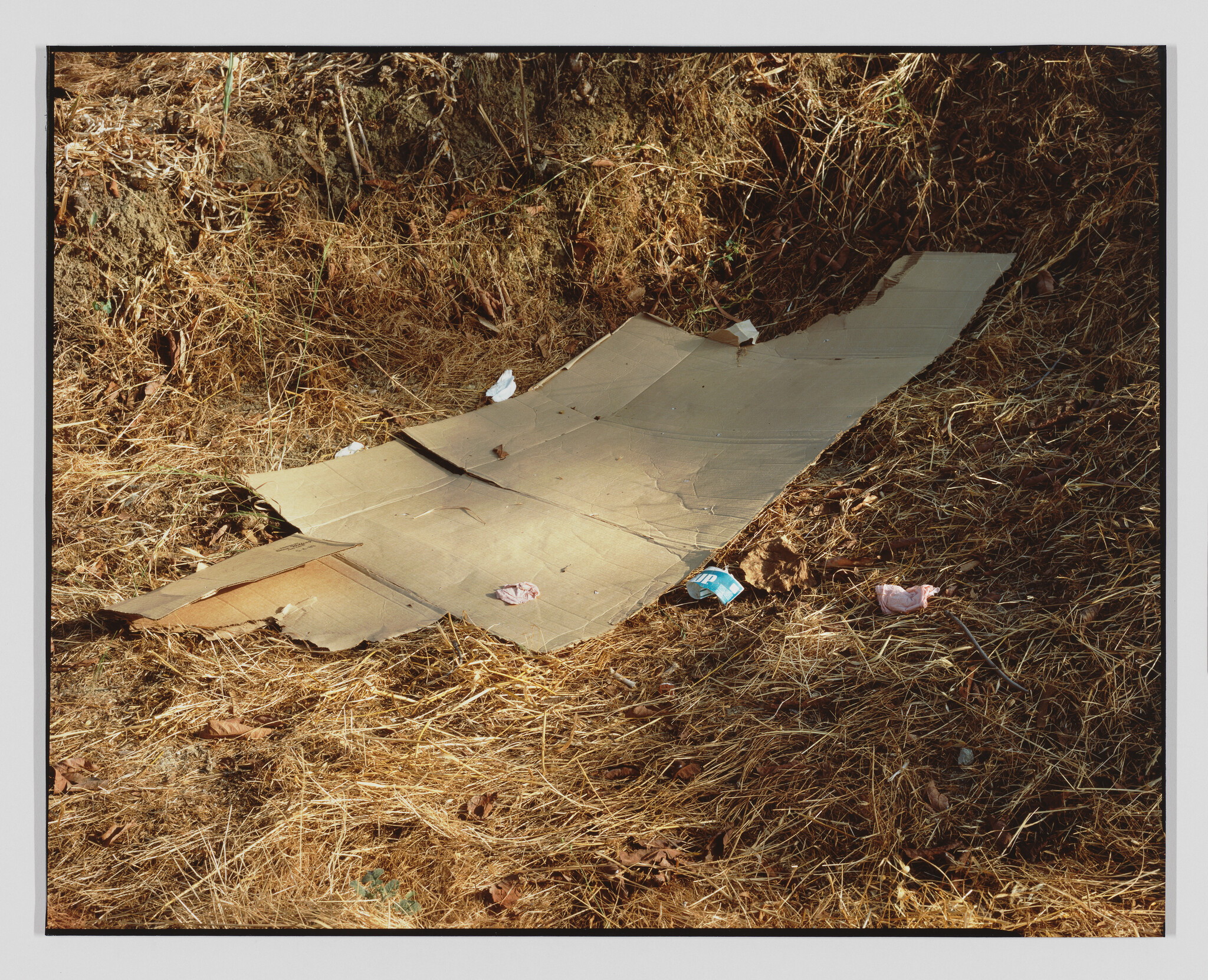 Large flattened cardboard sheet lying on dry grass with a few crumpled wrappers nearby.
