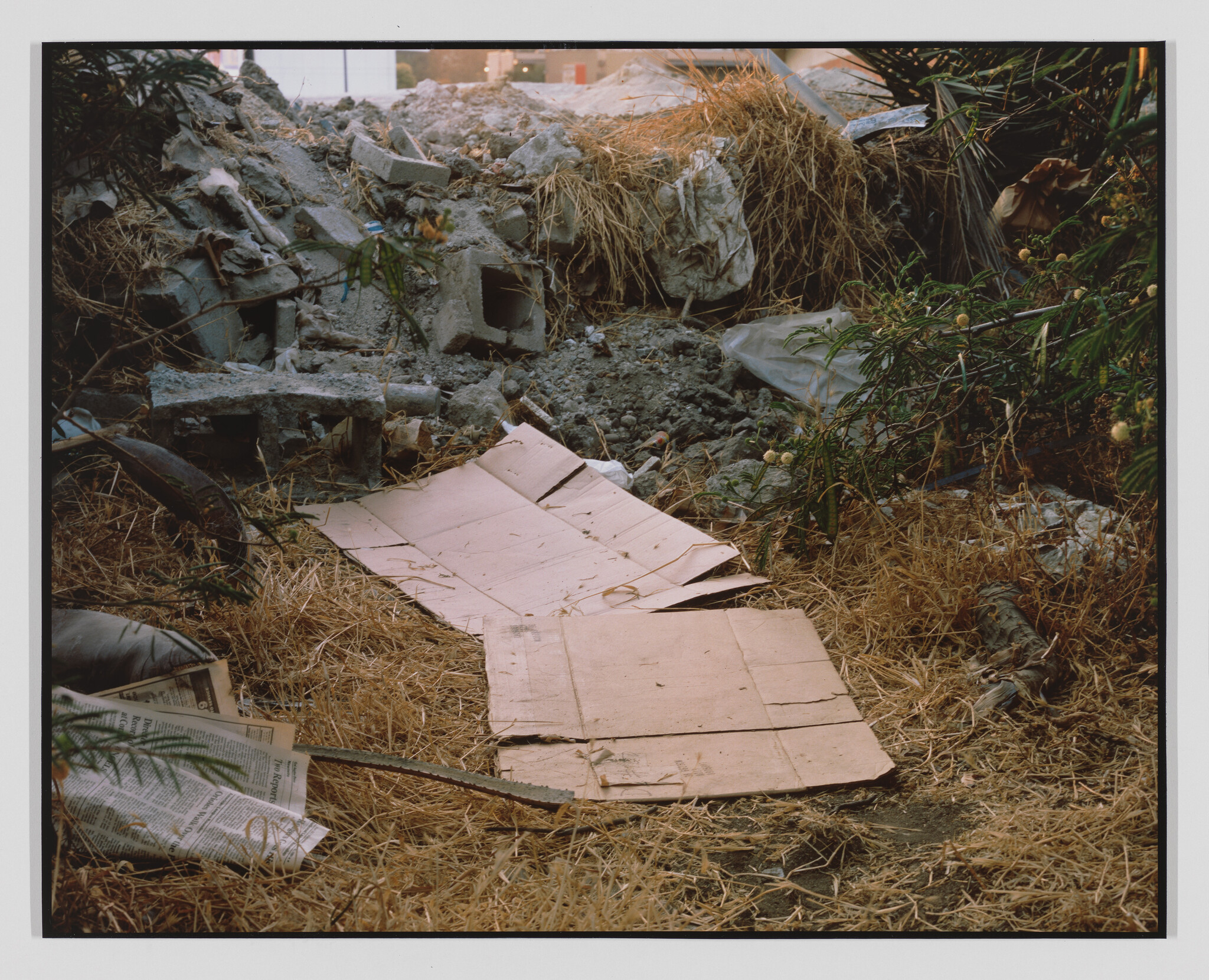 Flattened cardboard sheets lie on dry grass amid concrete rubble and scattered newspapers.