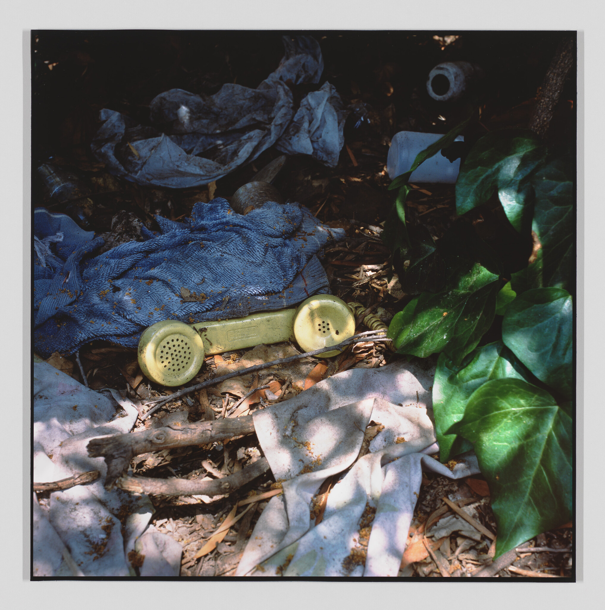 A yellow telephone handset lies abandoned among dirty rags, sticks, and green ivy.