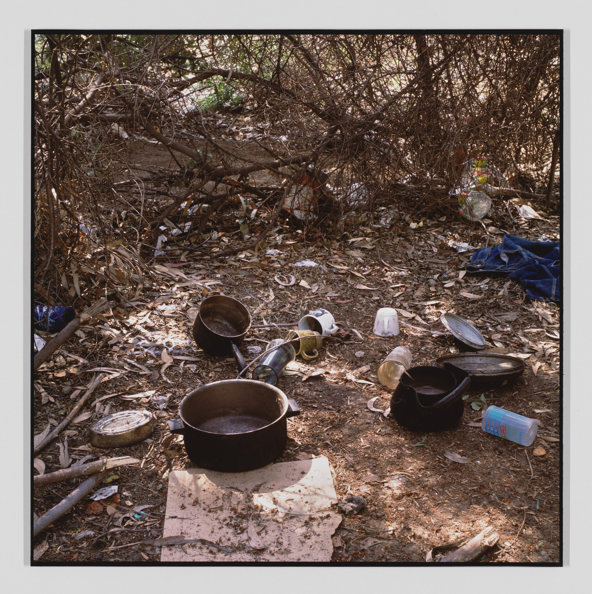 Several dirty pots, pans, and cups scattered on the ground under tangled bushes in a wooded area.