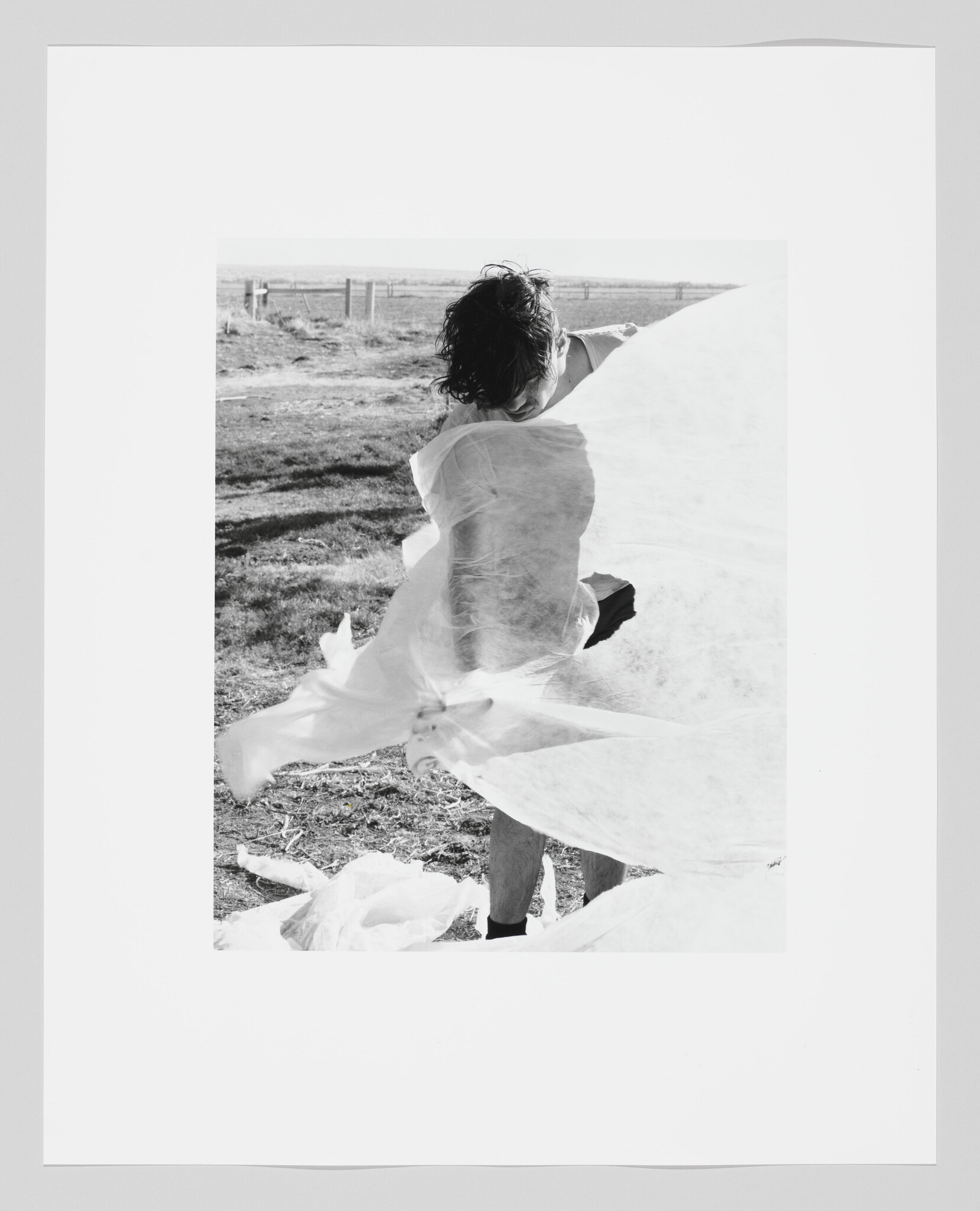 A person in a field wraps themselves in a large translucent fabric that billows in wind.