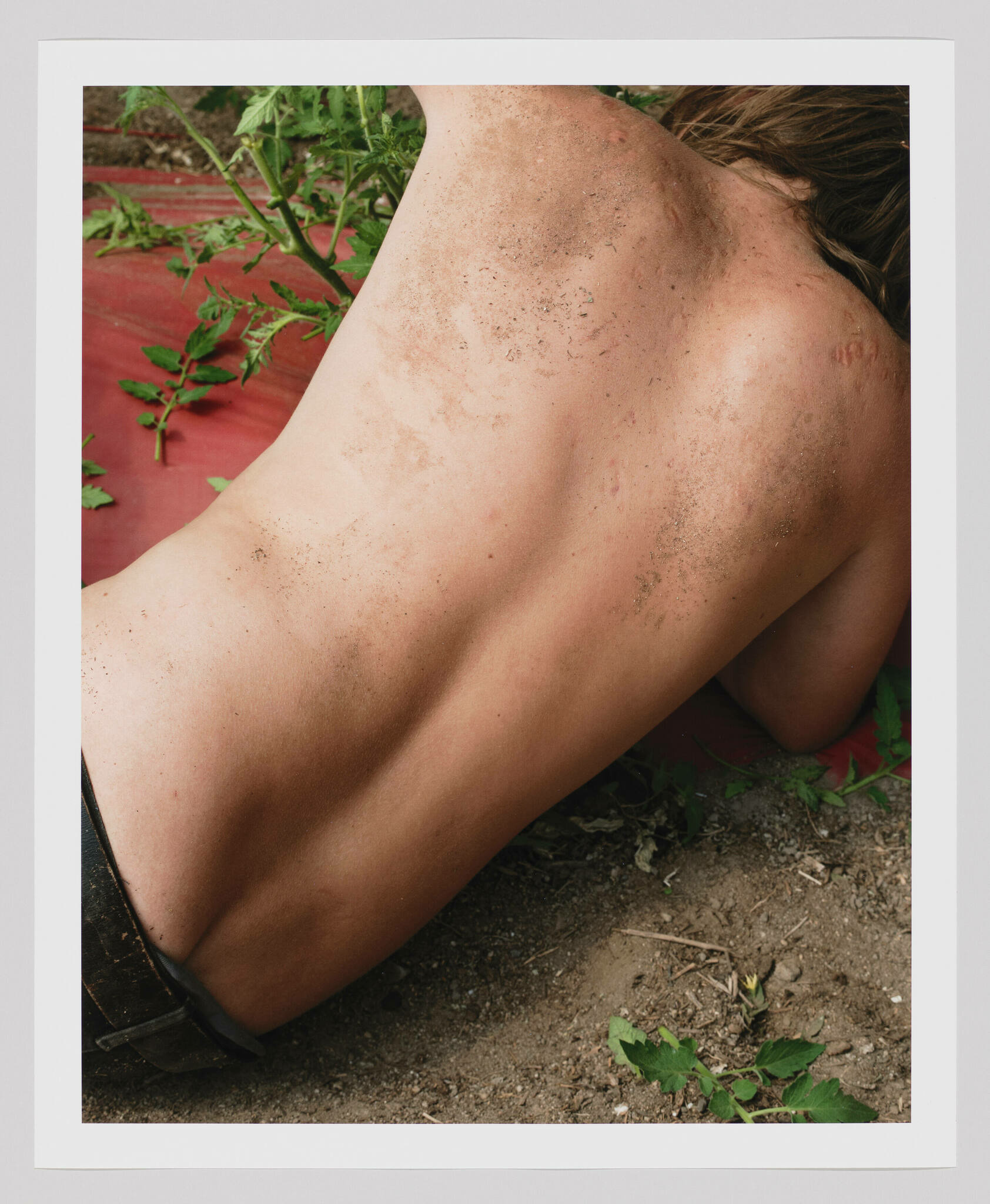 A dirty, bareback of a man, his head and legs out of frame, propping himself up from the ground with his right arm.