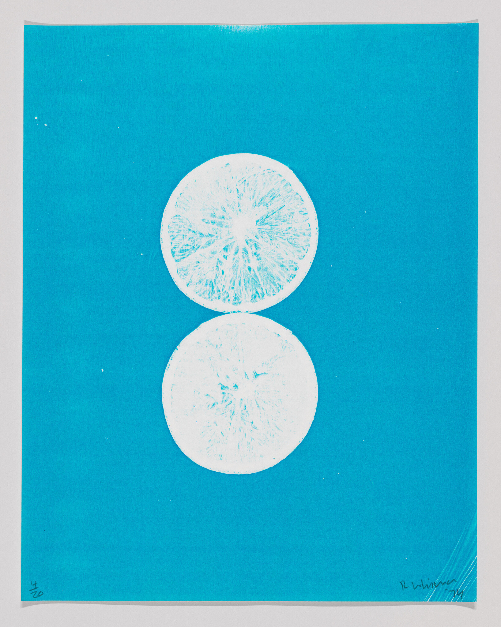 Two white citrus fruit slices centered on a vibrant blue background, with artist's signature at the bottom right.