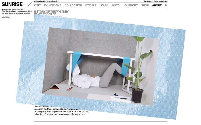 Person in white outfit lying under a table with a plant nearby, surrounded by a blue bubble wrap border. Whitney Museum website header visible.