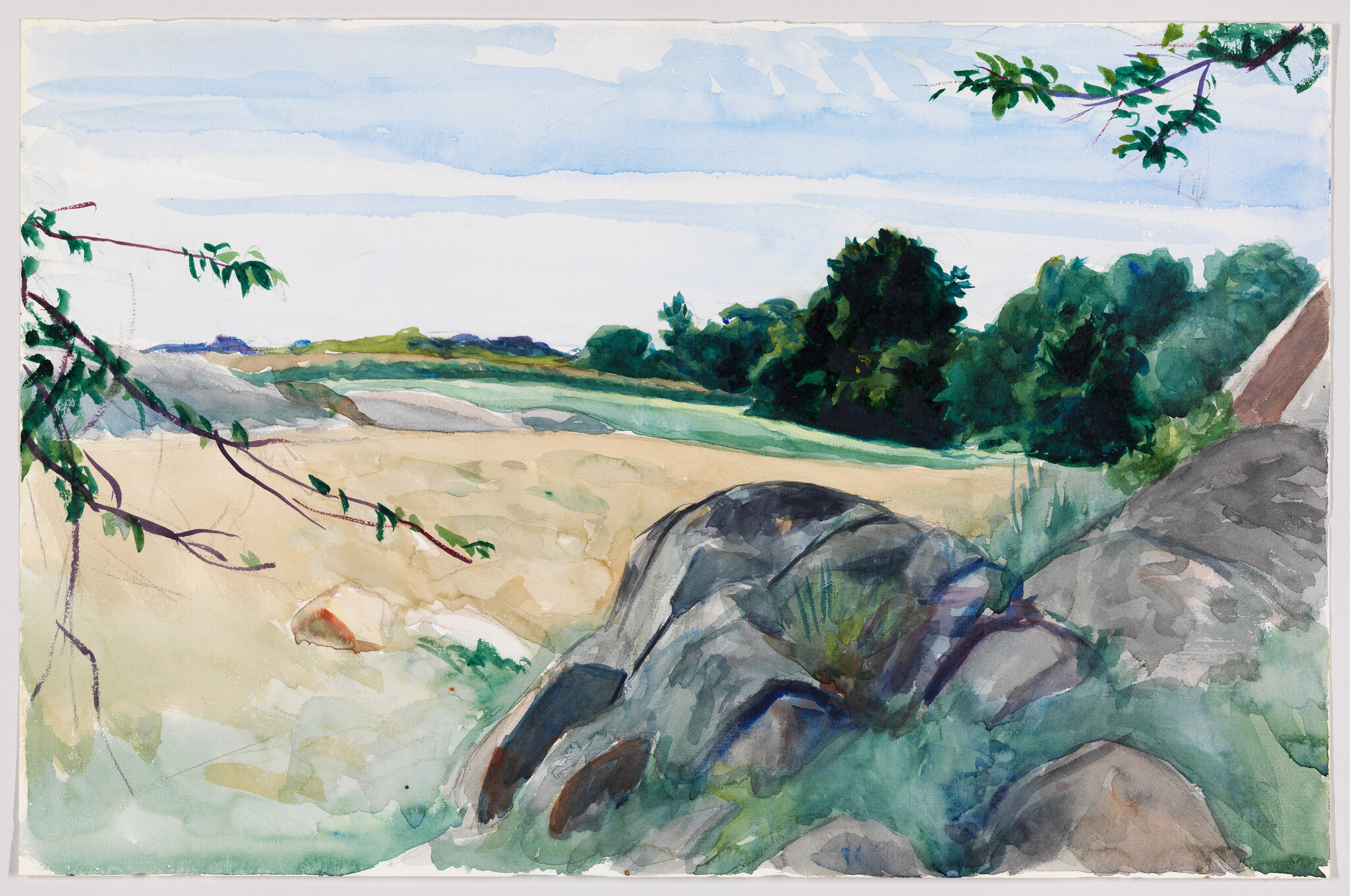 Large weathered rocks sit in a grassy foreground with a sandy beach and treeline beyond.