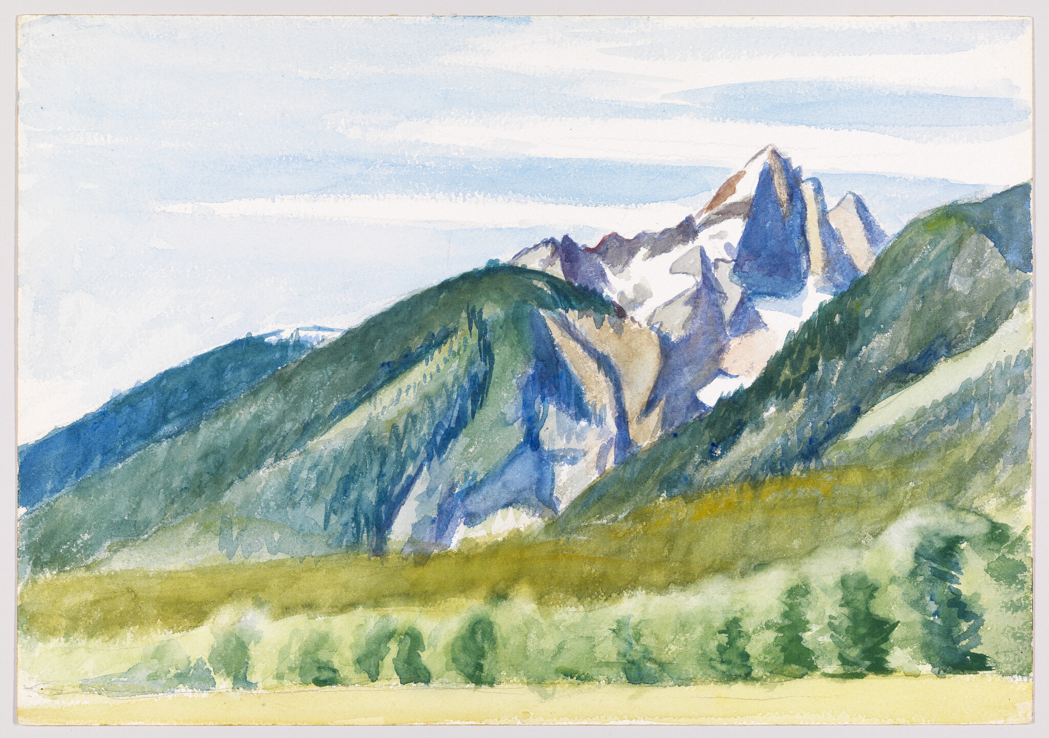 Snow-capped mountain peaks rise behind green forested hills and a grassy meadow.