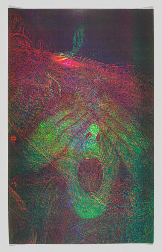 A multicolored abstract portrait of a person with flowing hair and an open screaming mouth.